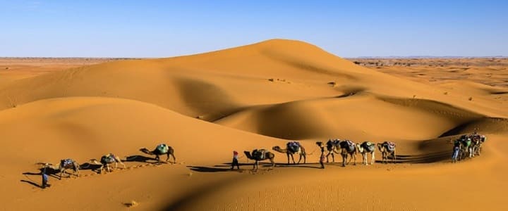 Самая жаркая пустыня в мире